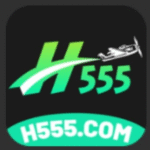 h555